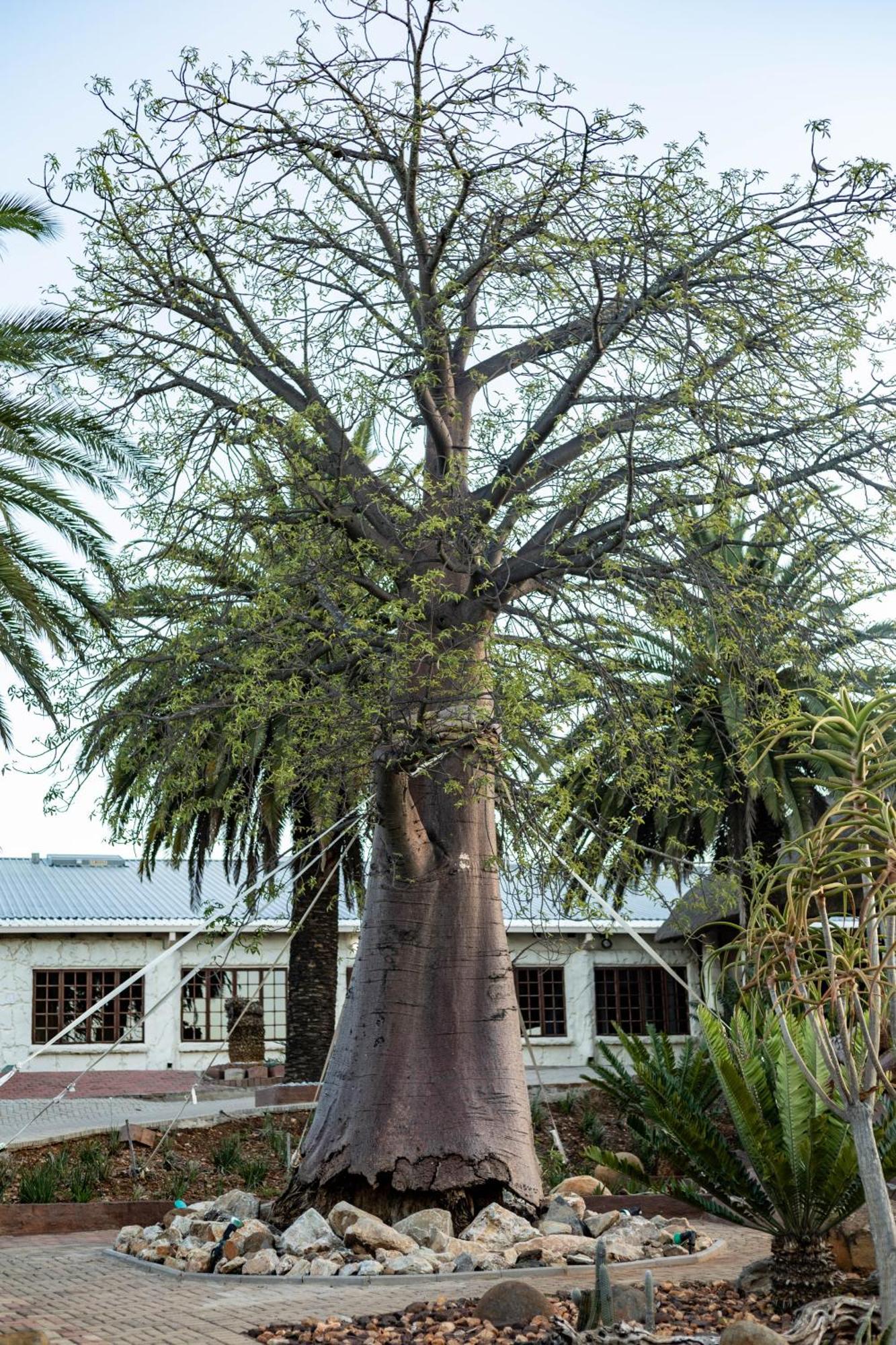 Bolivia Lodge Polokwane Exterior foto